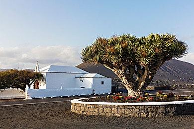 易上手难精通 解析《逐光之旅》“受苦”设定